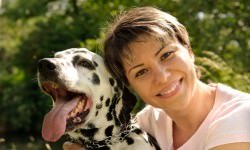 photo16-dalmatian-bigstock-alexraths