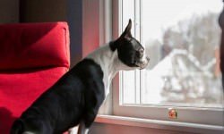 480390697-e1409853514547