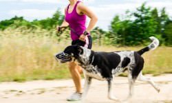 Depositphotos_15519455_s