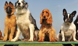 Depositphotos_2892749_m