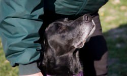 GettyImages_90406029