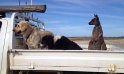 jm9lsdhhayaaaaaaaaaa