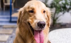 shutterstock_171389177