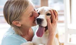 shutterstock_275330282