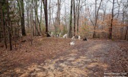 10271490_1137319192968068_7335158003733956450_n