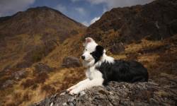 shutterstock_124772731