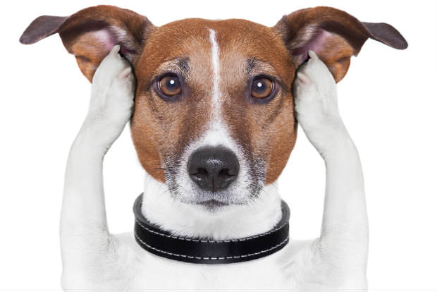 shutterstock_121991035