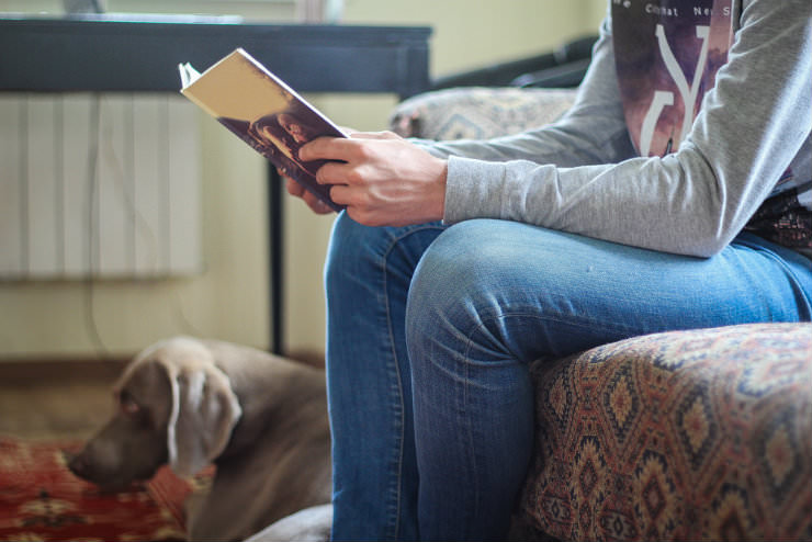 shutterstock_433755184